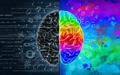 Right-brained, left-brained – what does it mean? 